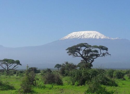 7 days & 6 nights Kenya’s Magical Safari