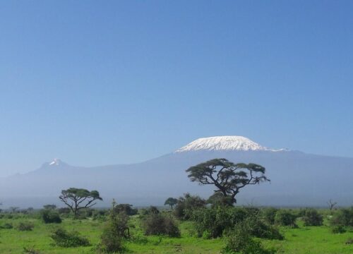 8‑Day Kenya Honeymoon Journey
