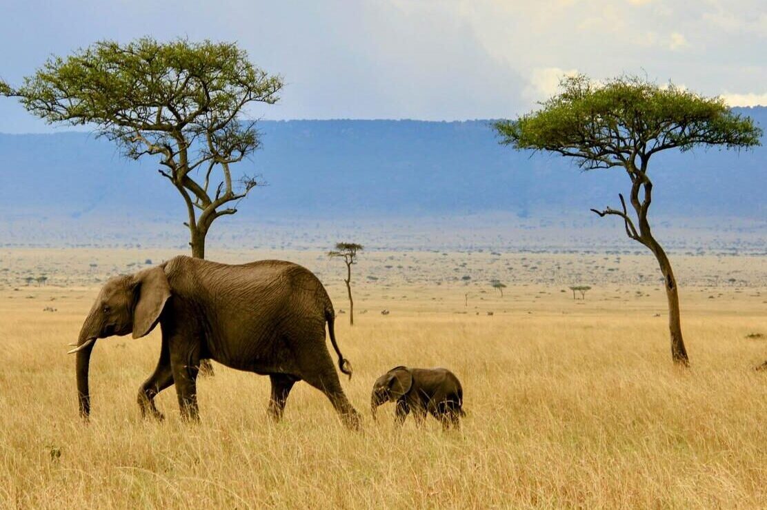 7 days & 6 nights Kenya’s Magical Safari