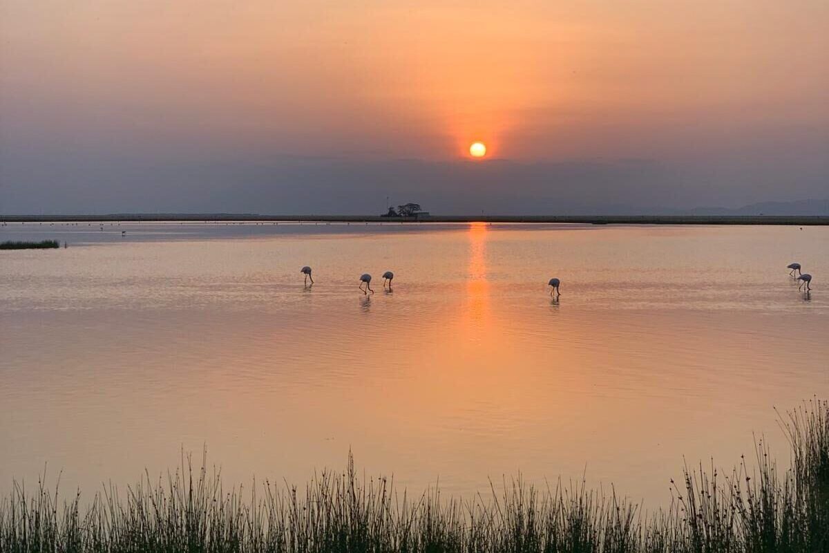 9‑Day Kenya Birding Circuit