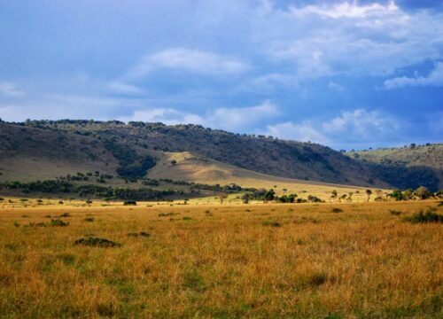 4-Day Tanzania. Great Plains & Crater Safari